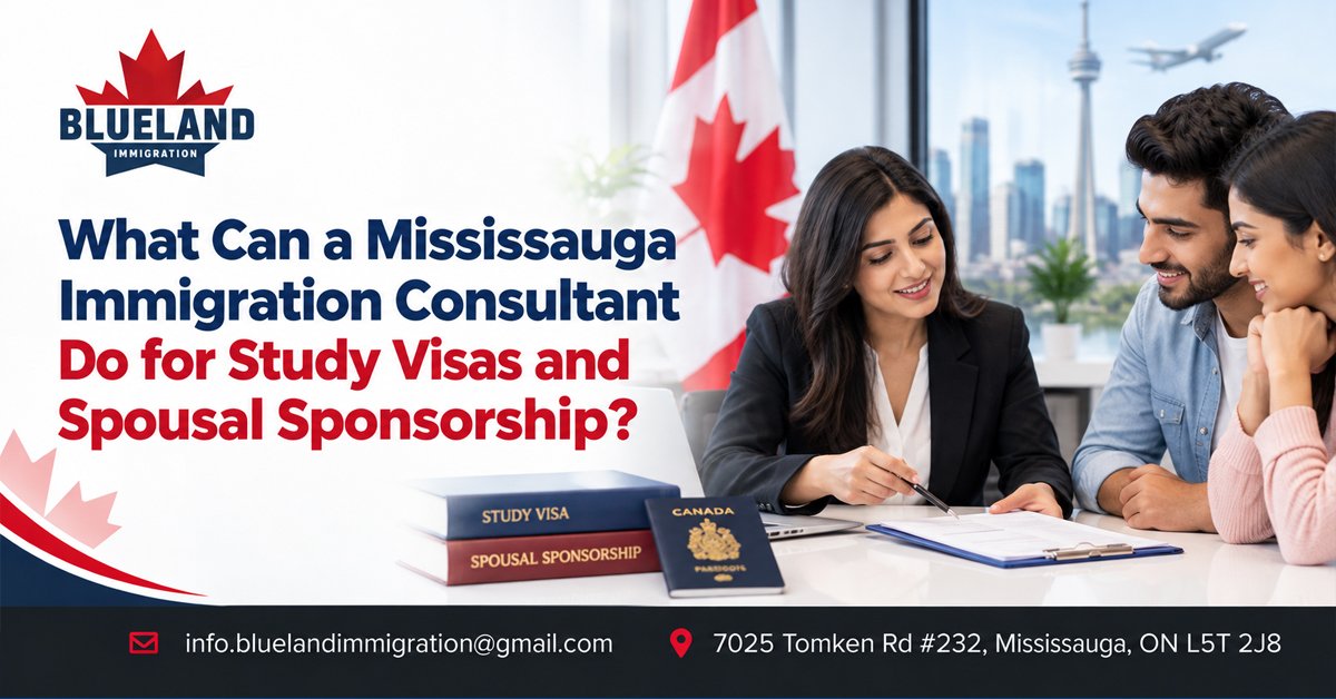 What Can a Mississauga Immigration Consultant Do for Study Visas and Spousal Sponsorship?